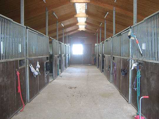 Stallung innen